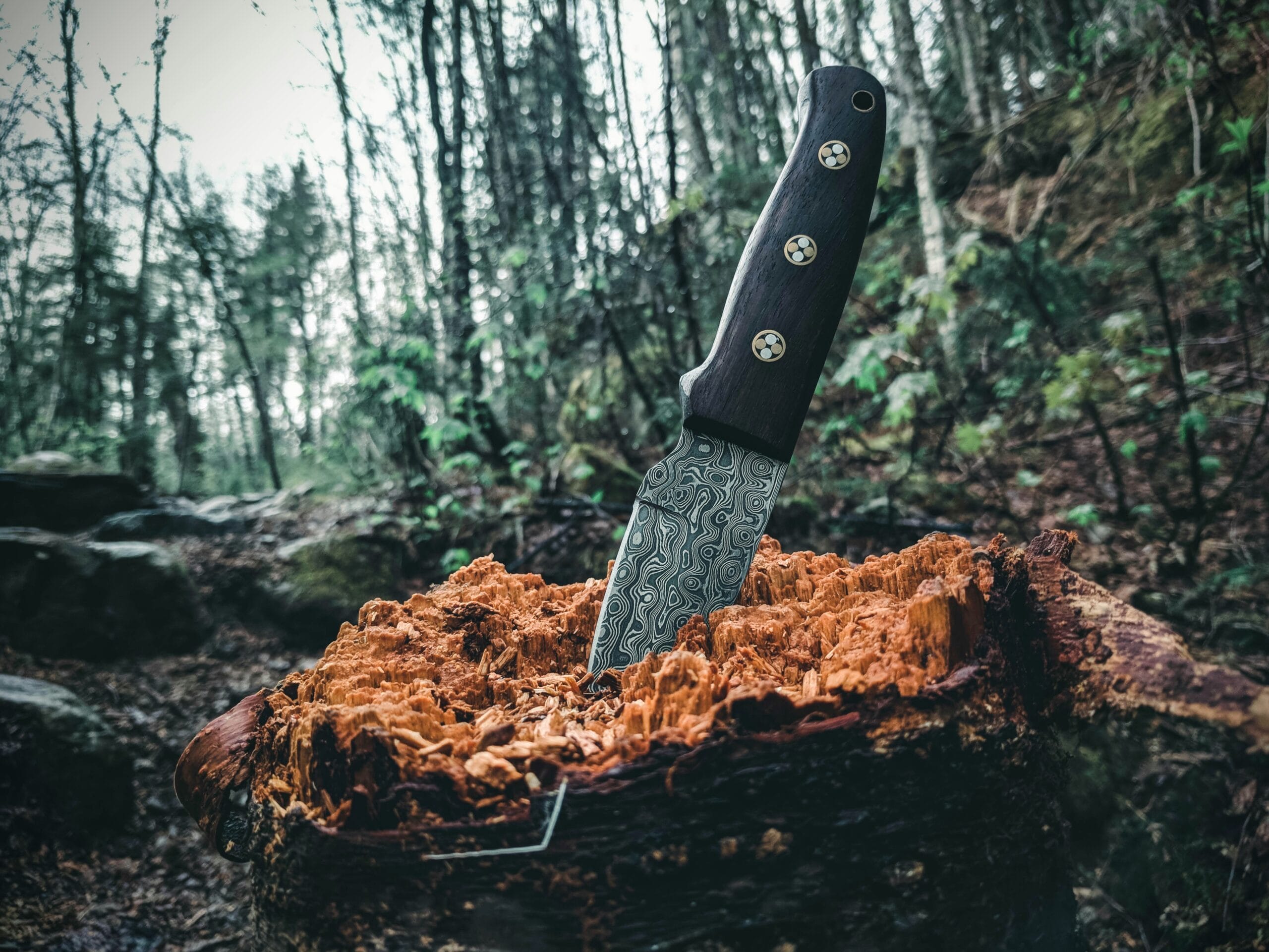 A Damascus knife sitting on top of a stump in the woods.